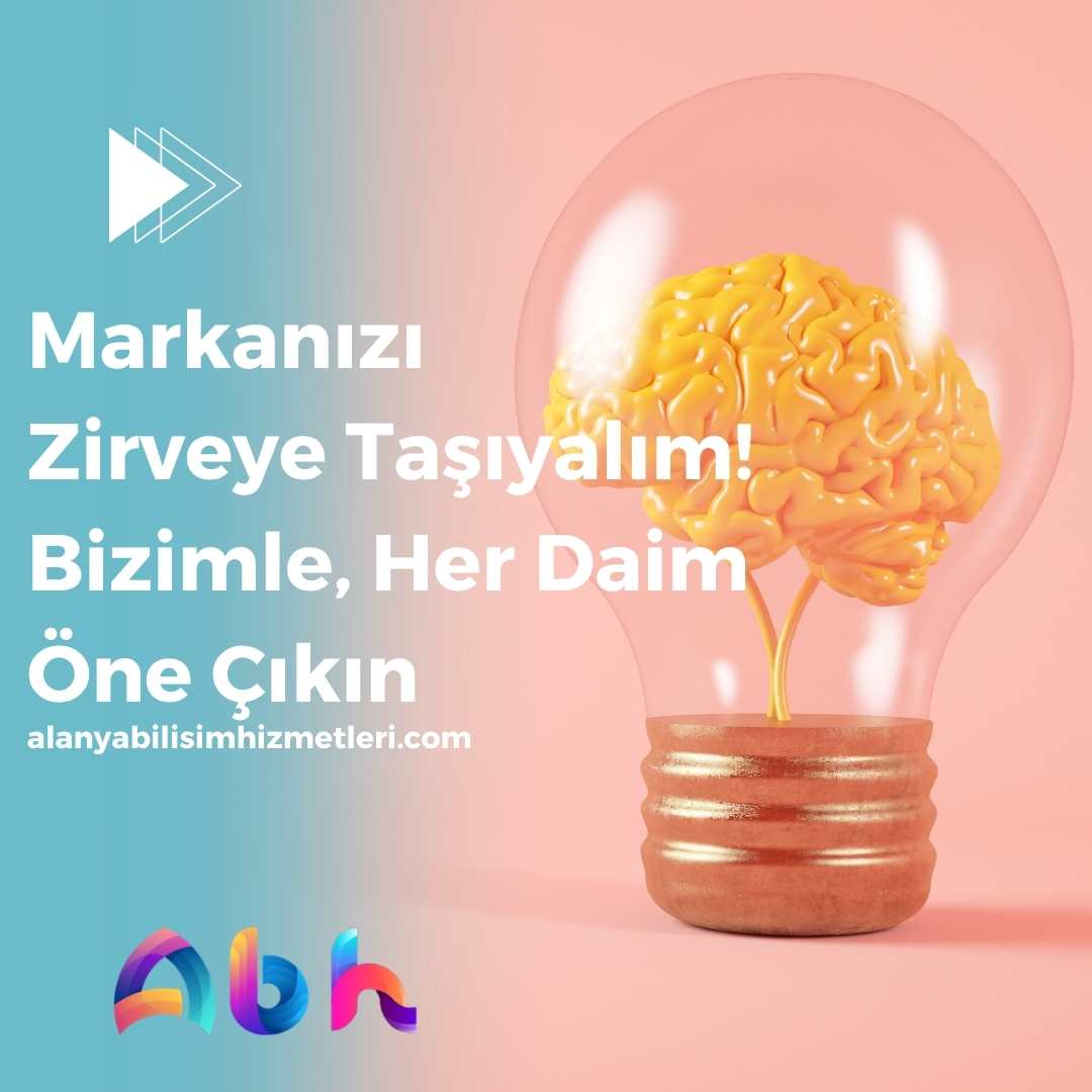yazılım şirketi mi freelancer mi